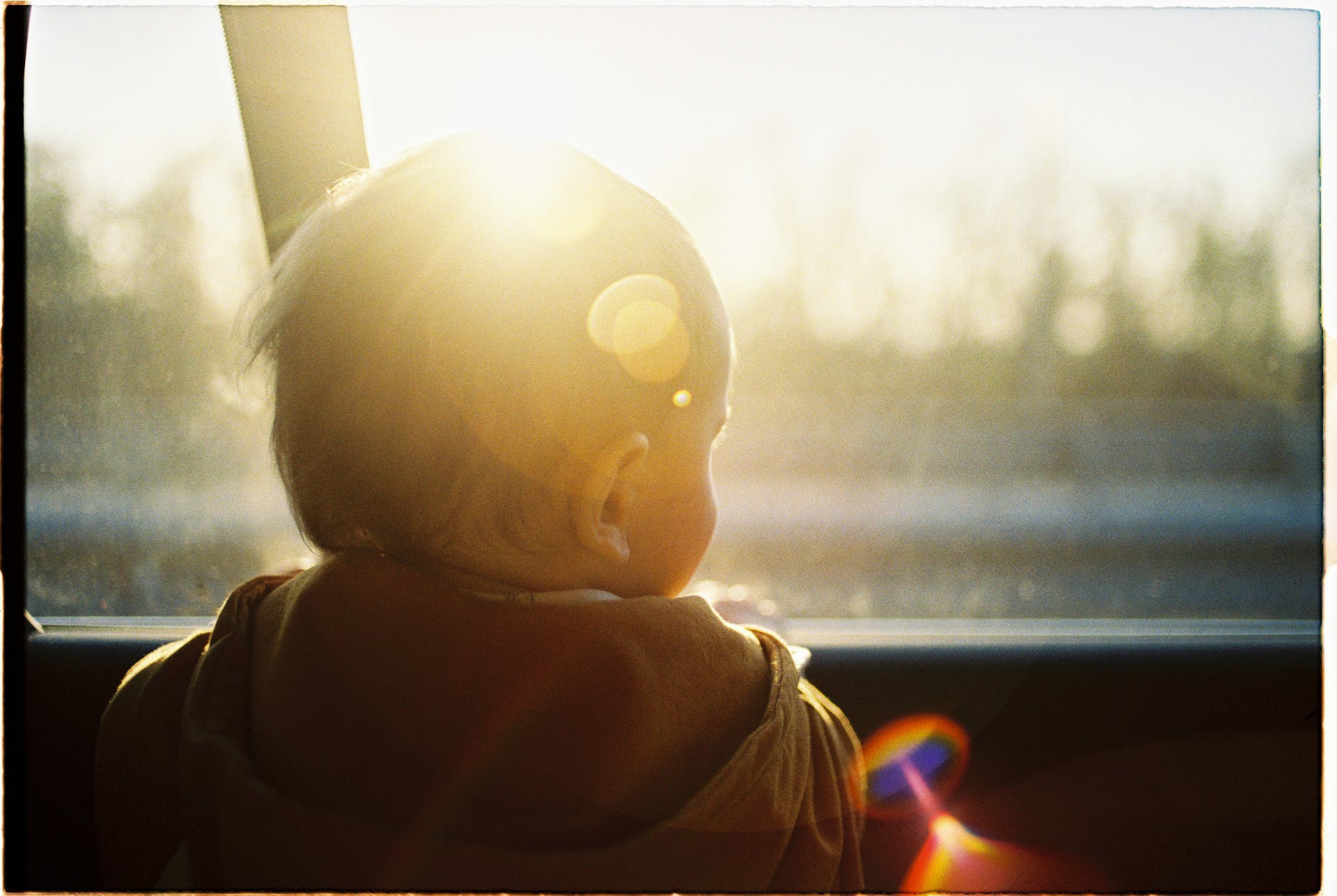 baby looking through car window