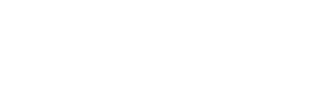 VISA_She's_next_2024_Beebiuni